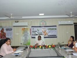 मोहला: जन समस्या निवारण शिविरों में प्राप्त आवेदनों का गुणवत्ता पूर्ण निराकरण करें सुनिश्चित–कलेक्टर तुलिका प्रजापति…