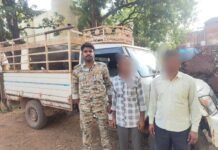 खैरागढ़: जिला के सी जी पुलिस टीम की पशु तस्करों विरुद्ध लगातार कड़ी कार्यवाही जारी…