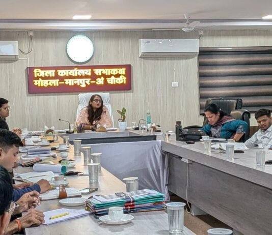लंबित प्रकरणों का समय-सीमा में करें निराकरण – कलेक्टर तुलिका प्रजापति…