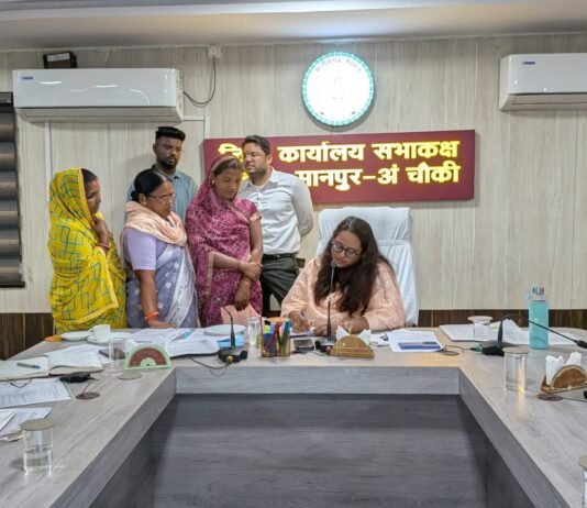 जनदर्शन में कलेक्टर तुलिका प्रजापति ने सुनीं ग्रामीणों की समस्याएं…