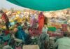 मोहला: कौड़ूटोला बना प्लास्टिक रिसाइक्लिंग का मॉडल, कलेक्टर ने की सराहना…