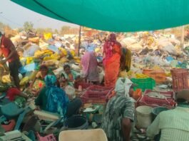 मोहला: कौड़ूटोला बना प्लास्टिक रिसाइक्लिंग का मॉडल, कलेक्टर ने की सराहना…