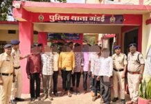 खैरागढ़: जिला के सी जी पुलिस टीम की पशु तस्करों के विरुद्ध बड़ी कार्यवाही…