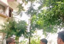 निगम आयुक्त मरकाम ने पानी सफाई एवं निर्माण कार्य का लिया जायजा,लखोली जनता कालोनी व बैगा पारा में पानी सफाई के संबंध में वार्डवासियो से की चर्चा…