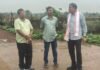 राजनांदगांव: निगम सीमाक्षेत्र में वृक्षारोपण करने महापौर ने किया स्थल निरीक्षण…