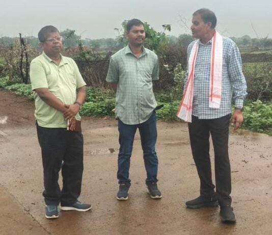 राजनांदगांव: निगम सीमाक्षेत्र में वृक्षारोपण करने महापौर ने किया स्थल निरीक्षण…