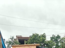 राजनांदगांव: साफ सफाई का हाल जानने आयुक्त सुबह पहुचे इंदिरा नगर…