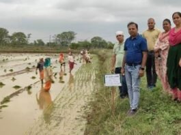 राजनांदगांव: लेही विधि से अंकुरित बीजों को मचाई किए हुए खेतों में ड्रम सीडर एवं छिटकवा विधि से करें बुवाई…