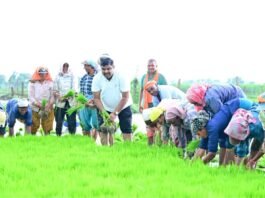 कृषि कार्यों में शामिल हुए शिक्षा मंत्री गजेन्द्र यादव…