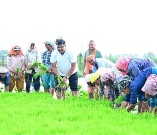 कृषि कार्यों में शामिल हुए शिक्षा मंत्री गजेन्द्र यादव…