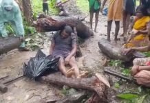 बीजापुर में दर्दनाक हादसा: खेत की जुताई के दौरान किसान पर गिरा सूखा पेड़, मौके पर मौत…