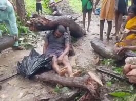 बीजापुर में दर्दनाक हादसा: खेत की जुताई के दौरान किसान पर गिरा सूखा पेड़, मौके पर मौत…