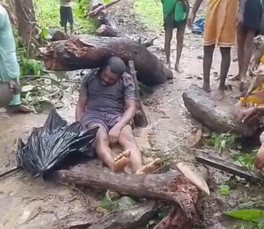 बीजापुर में दर्दनाक हादसा: खेत की जुताई के दौरान किसान पर गिरा सूखा पेड़, मौके पर मौत…