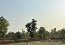 जिले में 93% बीज और 82% उर्वरकों का वितरण, अनियमितताओं पर प्रशासन सख्त…