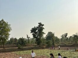 जिले में 93% बीज और 82% उर्वरकों का वितरण, अनियमितताओं पर प्रशासन सख्त…
