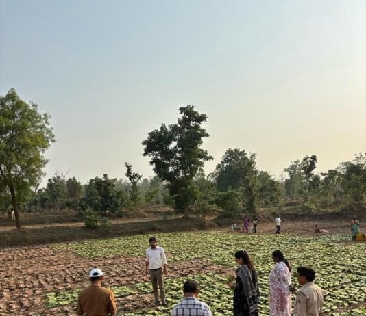हरा सोना ने बदली जिंदगी, ग्रामीणों के लिए बना आर्थिक संबल…