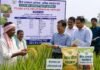राजनांदगांव: धान के बीज उत्पादन में किसानों को मिलेगा 3500 से 3700 रूपए प्रति क्विंटल तक उपार्जन मूल्य…