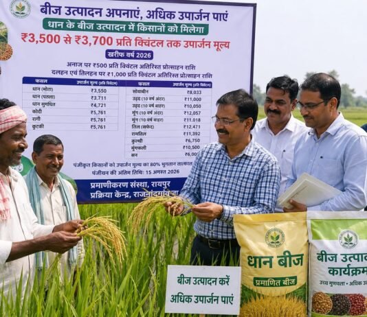 राजनांदगांव: धान के बीज उत्पादन में किसानों को मिलेगा 3500 से 3700 रूपए प्रति क्विंटल तक उपार्जन मूल्य…