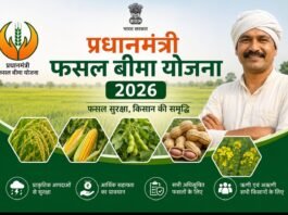 राजनांदगांव: किसान 14 अगस्त तक करा सकेंगे खरीफ फसलों का बीमा…