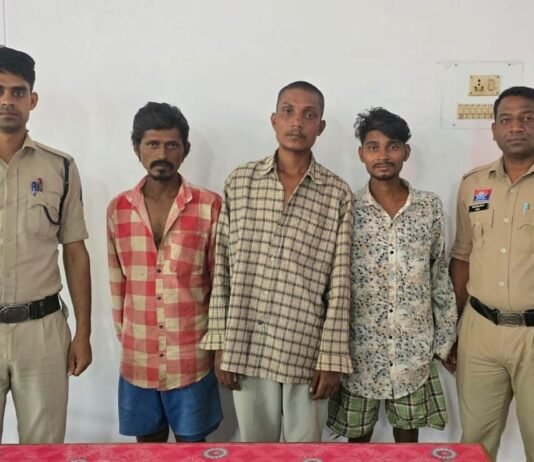 राजनांदगांव: चिखली पुलिस की कार्रवाई, अशांति फैलाने वाले 3 बदमाशों पर प्रतिबंधात्मक कार्रवाई…