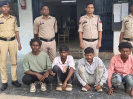 राजनांदगांव: चाकू से हमला कर फरार हुए चार आरोपी चढ़े पुलिस के हत्थे, हथियार भी बरामद…