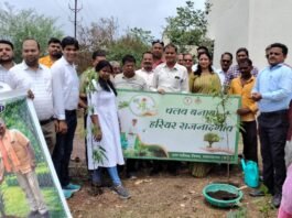 राजनांदगांव: आयुष पॉलीक्लीनिक में पौधरोपण संपन्न…