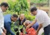 राजनांदगांव: क्षेत्रीय प्रशासनिक भवन प्रांगण में मुख्य अभियंता एच. के. मेश्राम ने अधिकारियों के साथ वृक्षारोपण कर लिया सुरक्षा का संकल्प…