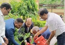 राजनांदगांव: क्षेत्रीय प्रशासनिक भवन प्रांगण में मुख्य अभियंता एच. के. मेश्राम ने अधिकारियों के साथ वृक्षारोपण कर लिया सुरक्षा का संकल्प…