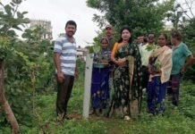 राजनांदगांव: “एक पेड़, एक जीवन,हरेली से हरियाली तक” – नगर पालिका परिषद डोंगरगांव…