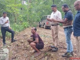 वन विभाग की तत्परता से भयभीत माउस डियर का सुरक्षित रेस्क्यू, उपचार उपरांत प्राकृतिक आवास में छोड़ा गया…