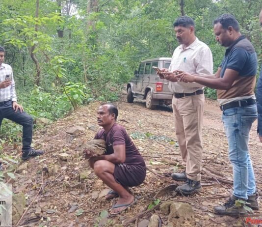 वन विभाग की तत्परता से भयभीत माउस डियर का सुरक्षित रेस्क्यू, उपचार उपरांत प्राकृतिक आवास में छोड़ा गया…