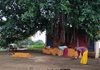 राजनांदगांव : शीतला तालाब सहित नगर के विभिन्न स्थानों पर जनप्रतिनिधियों, अधिकारियों-कर्मचारियों एवं स्वच्छता कर्मियों ने किया श्रमदान…