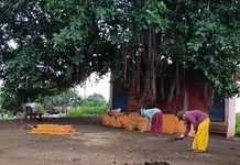 राजनांदगांव : शीतला तालाब सहित नगर के विभिन्न स्थानों पर जनप्रतिनिधियों, अधिकारियों-कर्मचारियों एवं स्वच्छता कर्मियों ने किया श्रमदान…