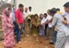 राजनांदगांव: नगर पंचायत घुमका के चंडी चौक को मिलेगी नई पहचान, विधायक हर्षिता स्वामी बघेल ने किया मंच निर्माण का भूमिपूजन…