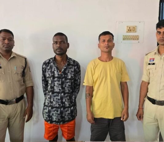 राजनांदगांव: गणेश पंडाल में विवाद कर रहे दो बदमाशों पर चिखली पुलिस की कार्रवाई…