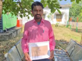 सड़क हादसों में घायलों की मदद करने वाले बनेंगे ‘राह-वीर’…