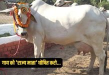 राजनांदगांव: गौ माता को ‘राज्य माता’ का दर्जा दिलाने राजनांदगांव से रायपुर तक उठेगी आवाज…