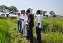 राजनांदगांव: अपर कलेक्टर मारकण्डेय ने पॉलीगॉन सर्वे कार्य का किया निरीक्षण…