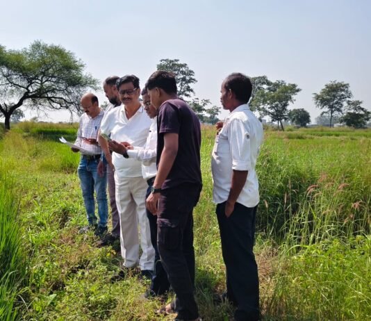 राजनांदगांव: अपर कलेक्टर मारकण्डेय ने पॉलीगॉन सर्वे कार्य का किया निरीक्षण…