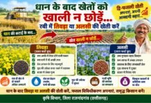 राजनांदगांव: रबी फसलों की एमएसपी में वृद्धि से किसानों को प्रोत्साहन…