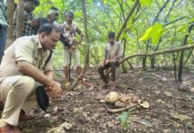 राजनांदगाव : तीन माह से लापता युवक का गणेश टेकरी पहाड़ी पर मिला नरकंकाल, कपड़ों से हुई पहचान…
