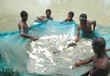 राजनांदगांव: सेवा की कहानी…